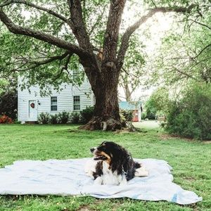 Meet your Posher, Melanie